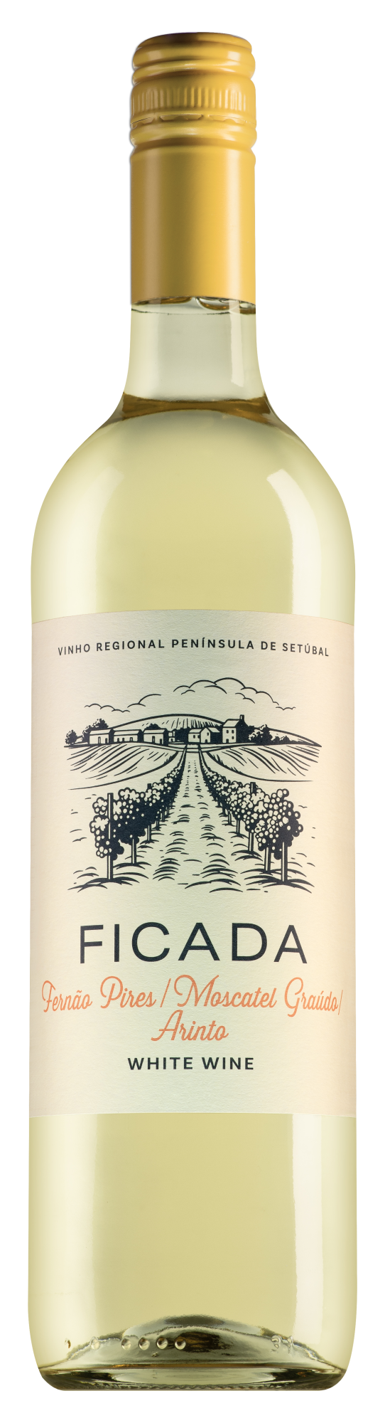 Ficada Península de Setúbal wit